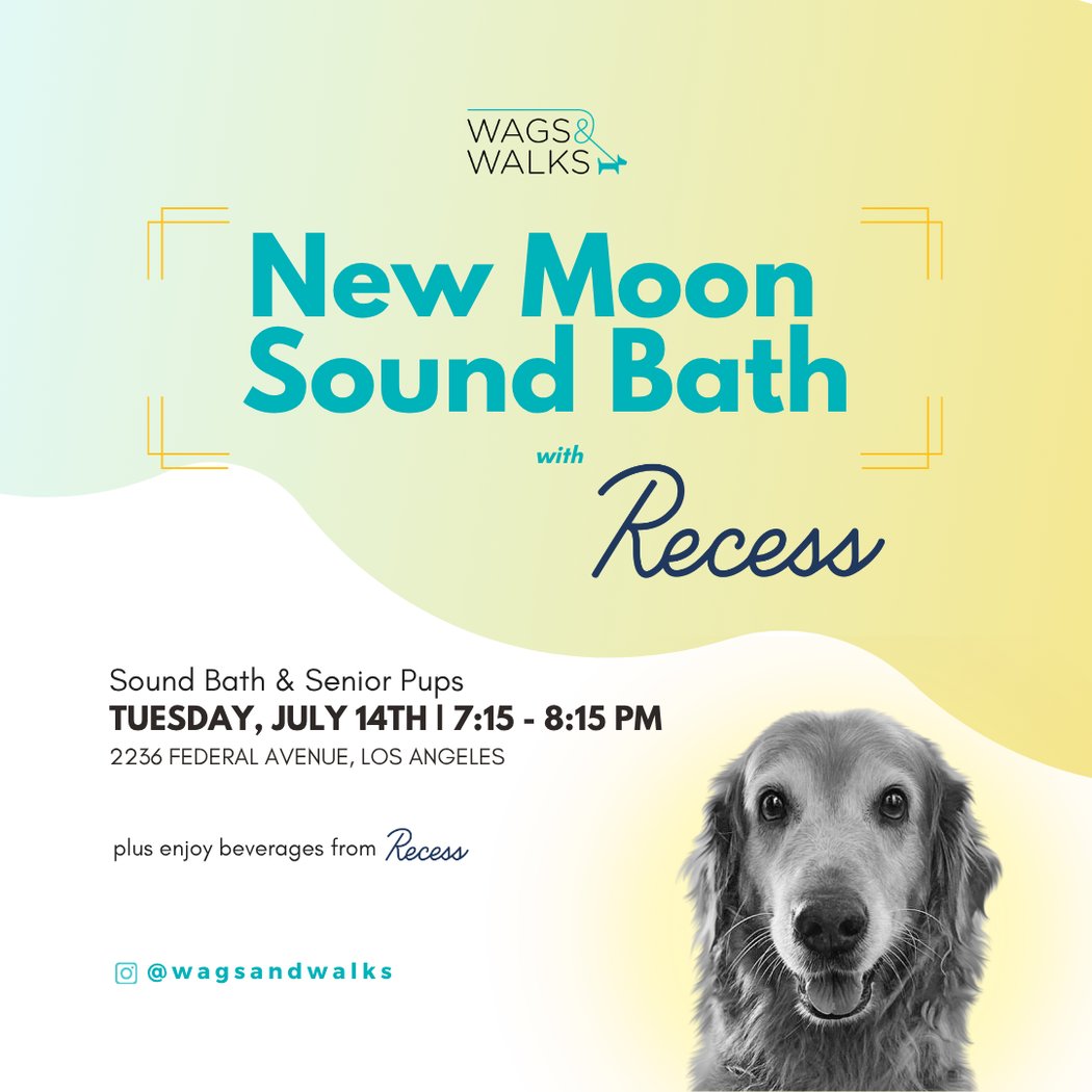 Sound Bath & Seniors 1
